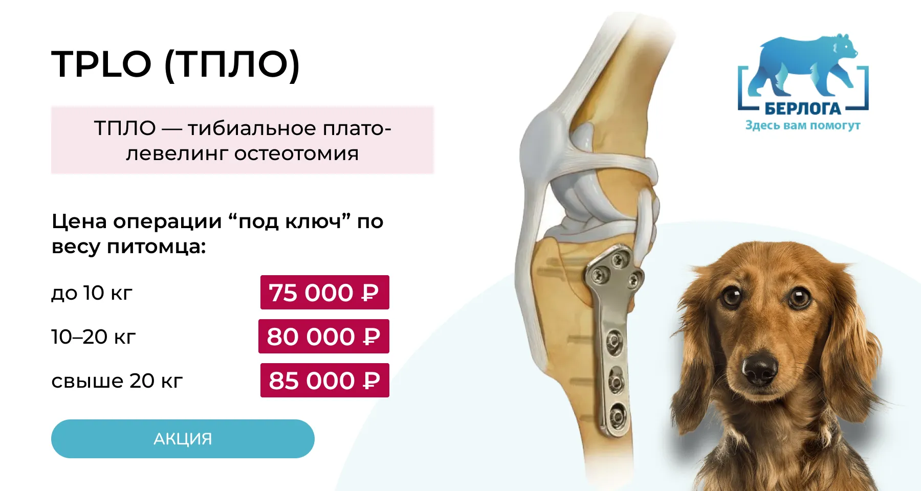 TPLO (ТПЛО) “под ключ” — фиксированная цена по весу собаки