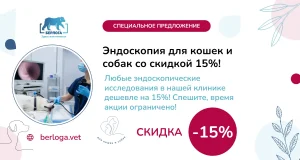 Эндоскопия для кошек и собак со скидкой 15%