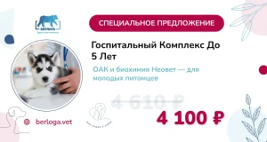 Госпитальный комплекс до 5 лет