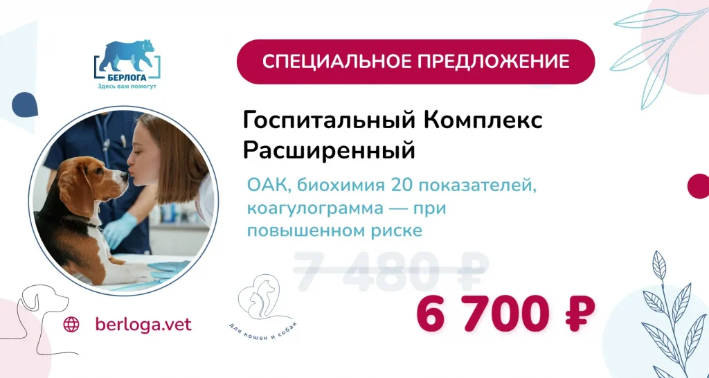 Расширенный госпитальный комплекс анализов перед операцией — акция лето 2026, клиника Берлога