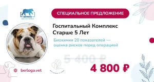 Госпитальный комплекс старше 5 лет