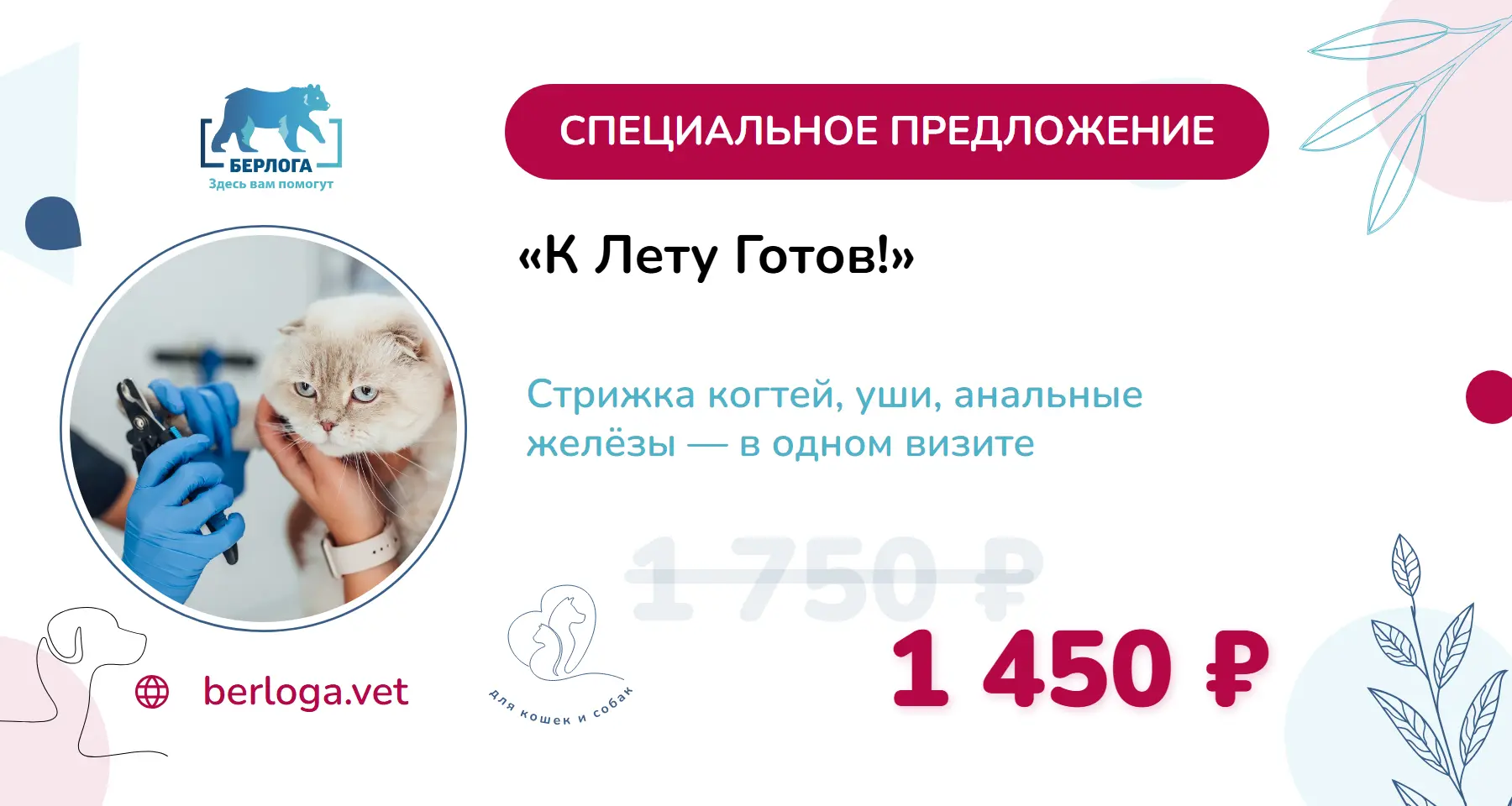 «К лету готов!»