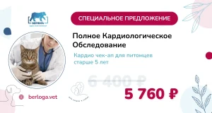 Полное кардиологическое обследование (собаки и кошки 5+)