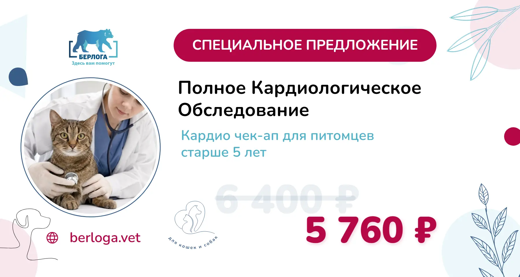 Полное кардиологическое обследование (собаки и кошки 5+)