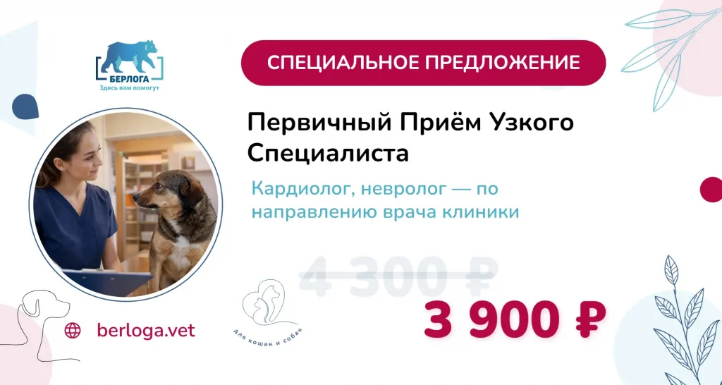 Первичный приём узкого специалиста со скидкой — акция лето 2026, клиника Берлога