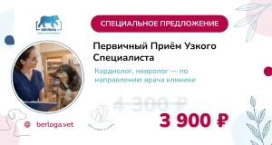 Первичный приём узкопрофильного специалиста