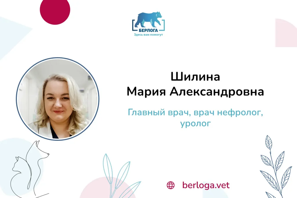 Шилина Мария Александровна, Главный врач, врач нефролог, уролог — ветеринарная клиника Берлога