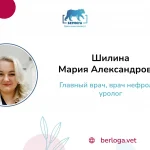 Шилина Мария Александровна, Главный врач, врач нефролог, уролог — ветеринарная клиника Берлога