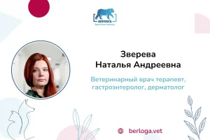 Зверева Наталья Андреевна, Ветеринарный врач терапевт, гастроэнтеролог, дерматолог — ветеринарная клиника Берлога