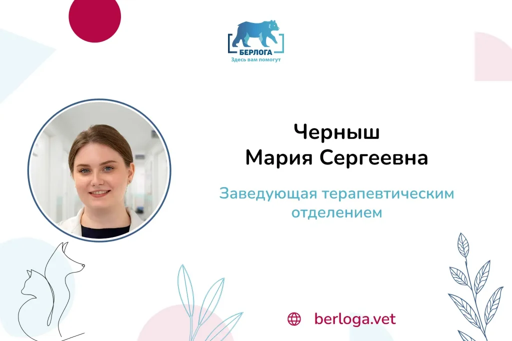 Черныш Мария Сергеевна, Заведующая терапевтическим отделением — ветеринарная клиника Берлога