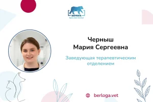Черныш Мария Сергеевна, Заведующая терапевтическим отделением — ветеринарная клиника Берлога