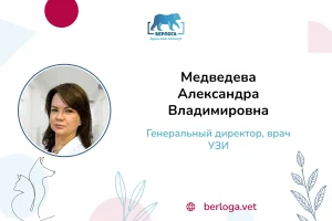 Медведева Александра Владимировна, Генеральный директор, врач УЗИ — ветеринарная клиника Берлога
