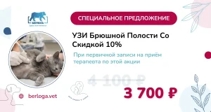 УЗИ брюшной полости при записи на приём терапевта