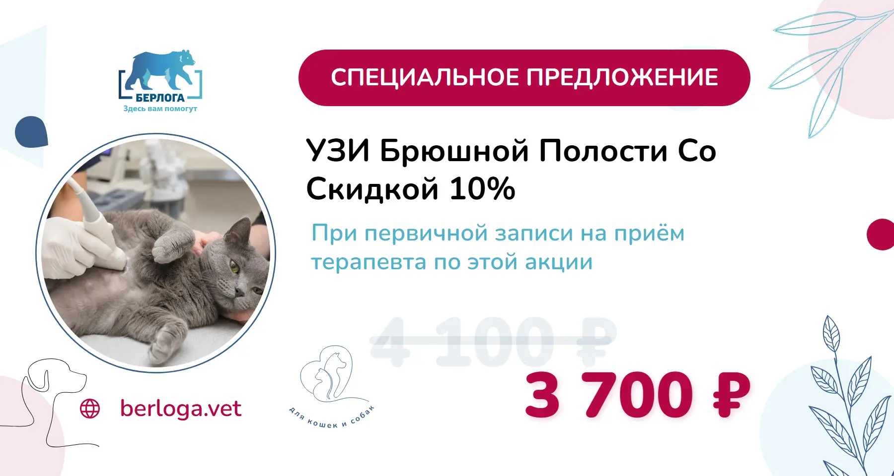 УЗИ брюшной полости при записи на приём терапевта